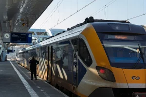 Nijmegen Security Concerns Rise After Guard Assault at Festival