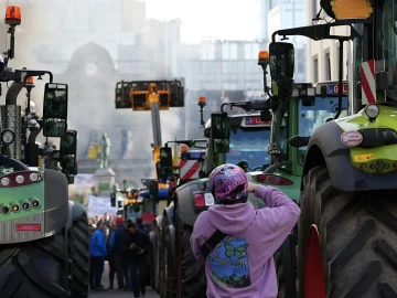 Nitrogen reduction debate in The Hague
