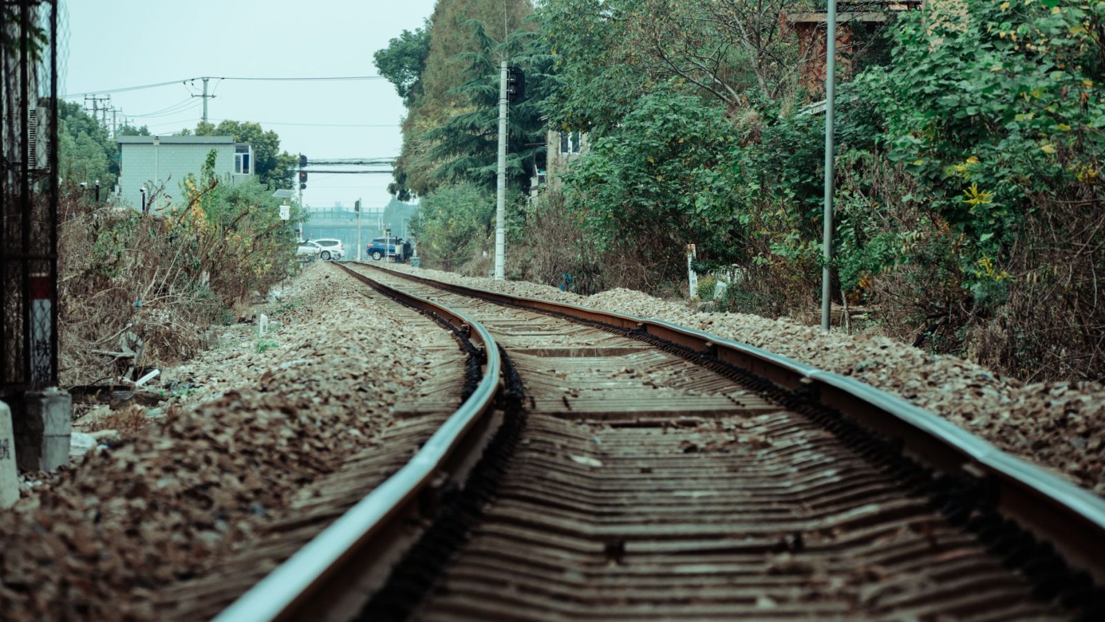 Rotterdam train fire causes disruption