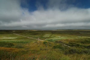 Schiermonnikoog Film Archive Digitized, Preserving 30 Years of Island Life