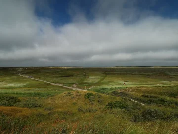 Digitized Schiermonnikoog film archive