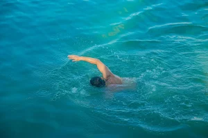 South Holland Reviews Swimming Ban as Demand Soars