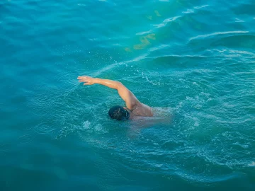 South Holland swimming ban review in canals