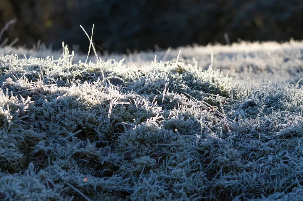 Twente Summer Frost Triggers Concerns with 3°C Drop