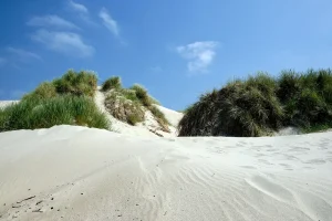 Vlissingen dune reinforcement adds 10,000 cubic meters of sand