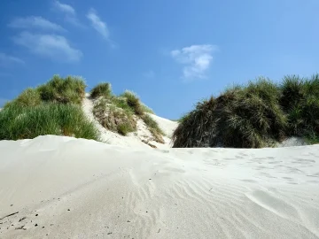 Vlissingen dune reinforcement project