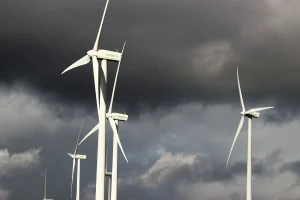 Zeeland Wind Turbines Halted After Sea Eagle Death