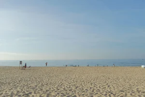 Callantsoog Swimming Tragedy: 1 Dead, 1 Missing in Incident