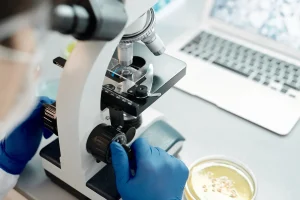 Dutch Biotech Competition Threatened by Rapid Chinese Advances