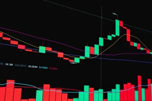 Dutch Investments in SpaceX Rise 12% in Q2