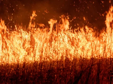 Extreme Weather Alert in Netherlands