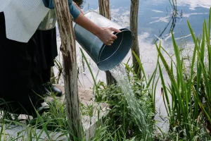 Gelderland Groundwater Ban Protects 10 Nature Areas