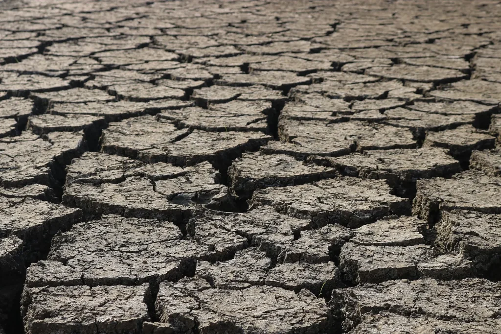 Gelderland Ponts Suspension Halts 5 Key Routes Amid Drought