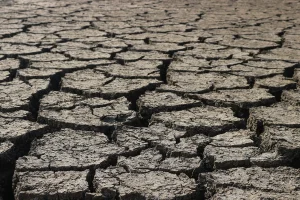 Gelderland Ponts Suspension Halts 5 Key Routes Amid Drought