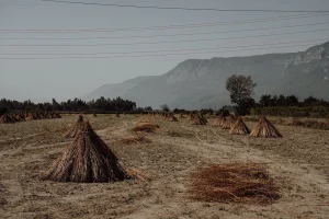 Netherlands Faces Drought Challenges Until December