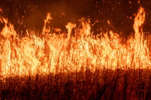Netherlands Heatwave Plan Activates as Temperatures Hit 35°C