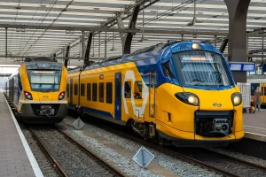 NS Customer Inquiries Rise Amid 400,000 Subscription Confusion