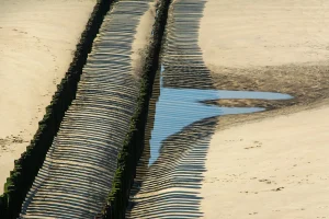 Rijn Water Levels Plunge to Historic Low of 614 Cubic Meters