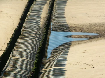 Rijn water levels reach historic low
