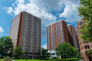TikTok Housing Scam Threatens Dutch Students, Pararius Urges Action