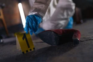 Unidentified Remains Found in Dronten Ignite New Probe