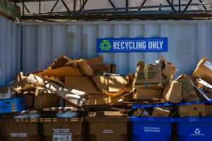Dutch Government Faces Criticism Over Recycling Interference