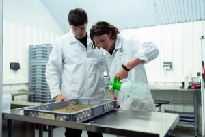 Dutch Researchers Win Ig Nobel Prize for Soil Study with Underwear