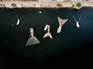 Dutch Push to Revisit EU Ban on Pulsvissen Fishing Method