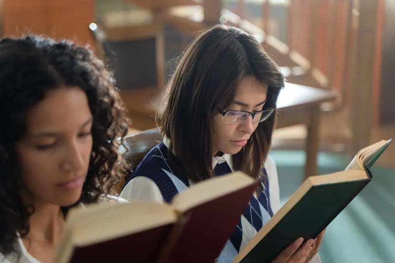 Dutch youth literacy decline