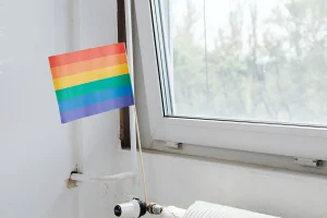 Rainbow Flag Thefts Follow Oldebroek Protest, House Raises Flag
